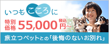いつもこころに～小さなお葬式のペット葬儀～WEB特別価格50,000円(税抜)旅立つペットとの「後悔のないお別れ」