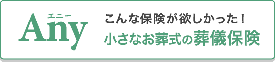 M U6qemd Y224m