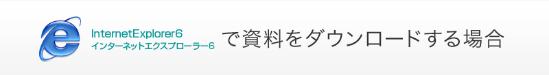 インターネットエクスプローラー6