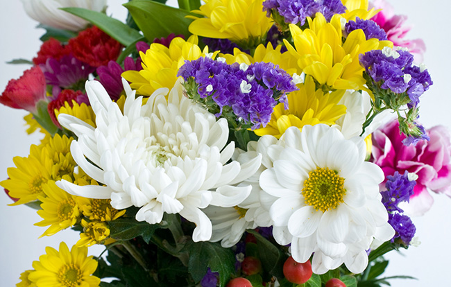 葬式の花の種類とは?それぞれの役割とアレンジについても紹介